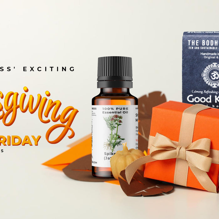 Exciting Offers on Thanksgiving & Black Friday