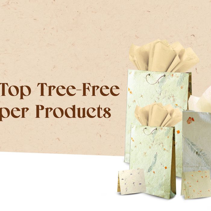 Top Lokta Paper Products for Eco-Conscious Consumers