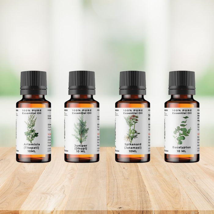 Essential Oils Wellness Bundle: Spikenard, Artemisia, Eucalyptus & Juniper