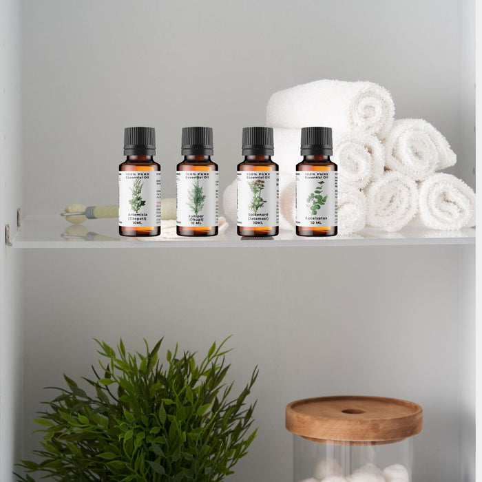 Essential Oils Wellness Bundle: Spikenard, Artemisia, Eucalyptus & Juniper