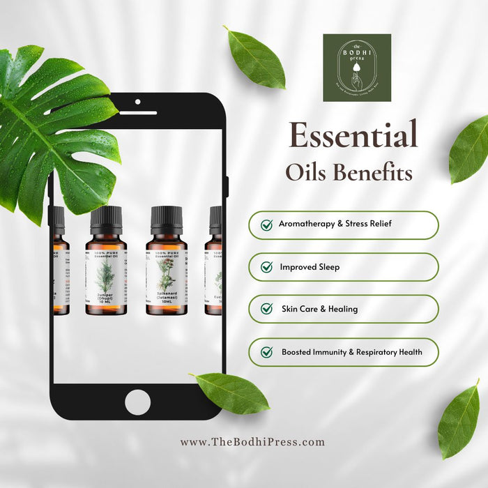 Essential Oils Wellness Bundle: Spikenard, Artemisia, Eucalyptus & Juniper